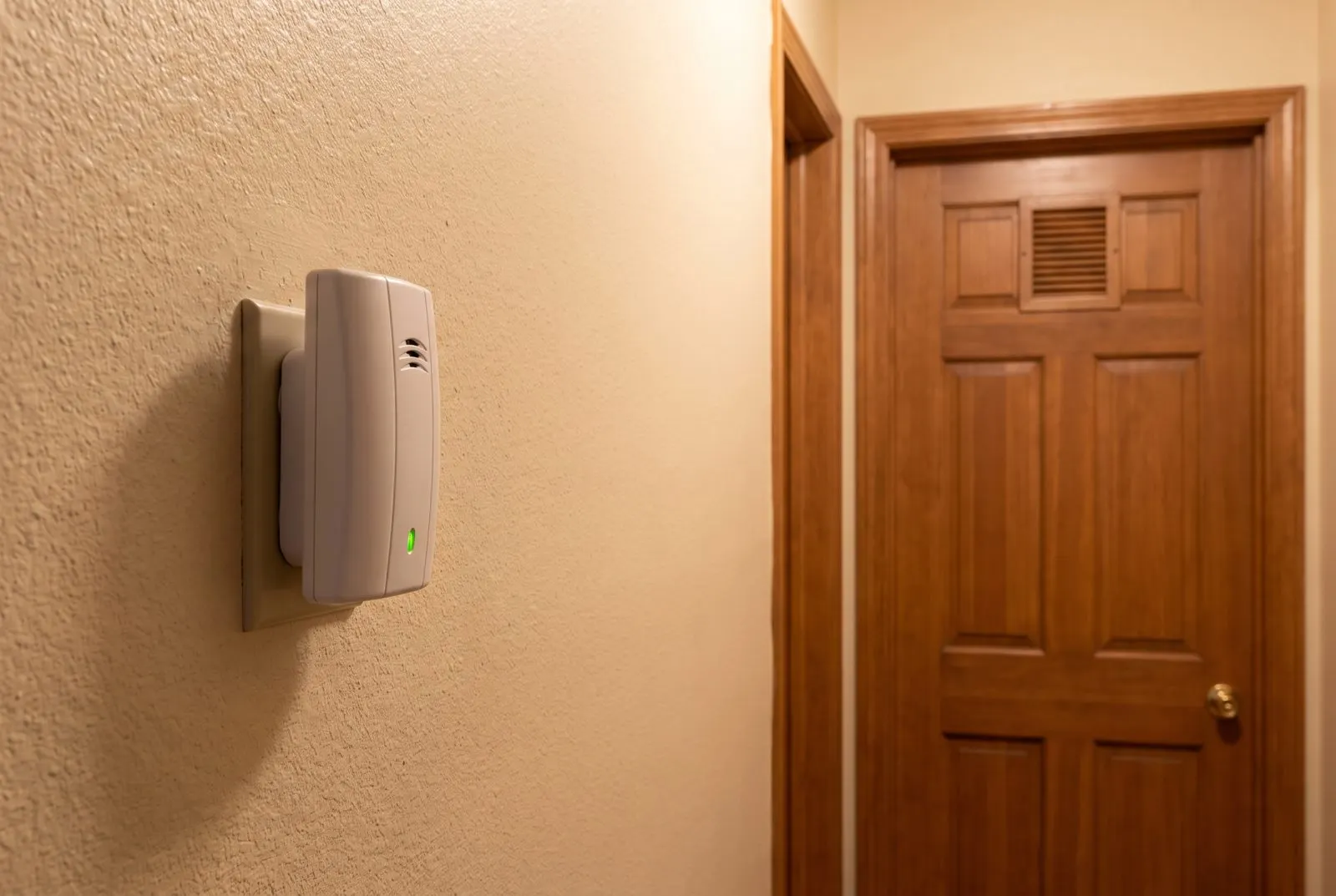 Carbon monoxide detector in a hallway outlet near the furnace closet